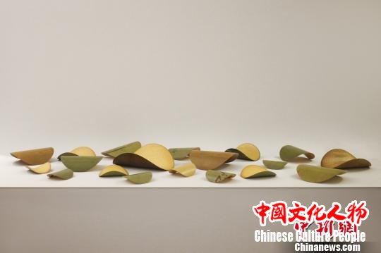 作品《龟》。校方提供 作品《龟》。校方提供