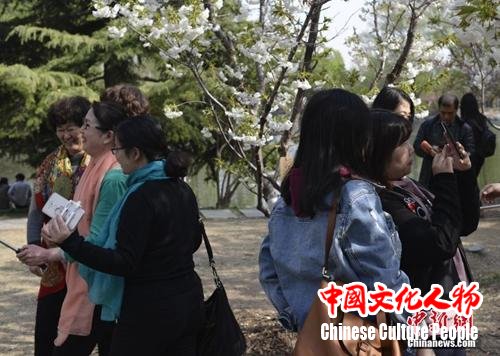 点击进入下一页