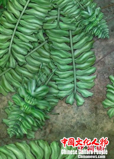 黄氏拟苔草蛉的生态复原图。　南古所 杨定华 摄