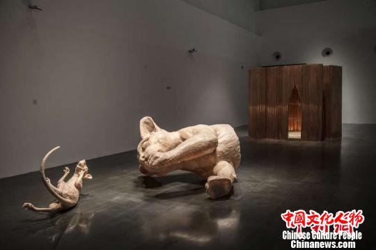 王度用树脂和玻璃纤维制作的《内科》创作于2016年。主办方供图