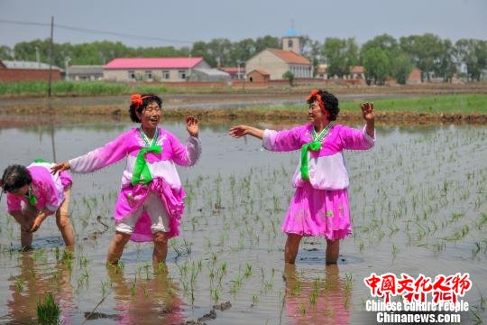 沈阳首届朝鲜族插秧节启幕特色表演和美食受关注