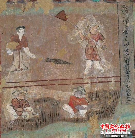 敦煌壁画里的“芒种”:青梅煮酒刈麦山前耕牧忙种