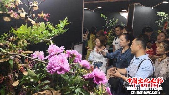 市民欣赏参赛插花作品。 市民欣赏参赛插花作品。
