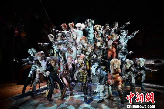 经典音乐剧《猫》在中国热演原版导演分享“回忆”